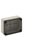 SPELS TK-Gehäuse IP66       PS 1309-6-to 