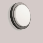 RZB CADERO disca, 3,5...9,5  582110.0031 