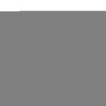 Ridi        VLNE-11F NETZEINSP.-FLEXIBEL 