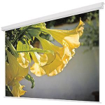 KIND Congress-S 300x400cm     4006000154 