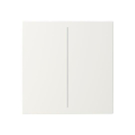 BJ Abdeckung 2fach     LFW/A.2.55.11-914 