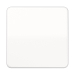 Jung Steuertaste Std.           CD1700WW 