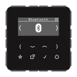 Jung Smart Radio               DABCDBTSW 