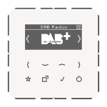 Jung Smart Radio DAB+            DABCDWW 