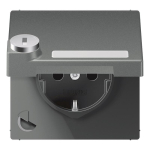 Jung SCHUKO-Steckdose  AL 1520 NAKLSL AN 