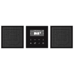 Jung Smart Radio DAB+           DABLS2SW 