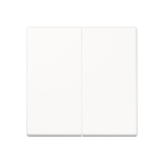 Jung Steuertaste 2-f           A1702BFWW 