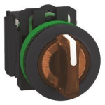 Schneider Leuchtwahlschalter  XB5FK135G5 