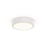 Philips TCBRMS 19S/930 DIA OC   86388000 