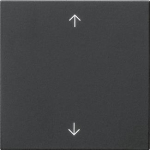 GIRA 5389005 Wippe 1fach Pfeile 