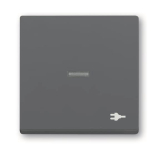 BJ Wippe m.Aufdruck anth      1789 ST-81 