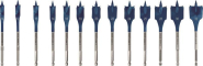 Bosch EXPERT SELFCUT Speed    2608900336 