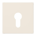 JG Abd.Schlüsselschalter LS925    LS 925 