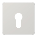 JG Abd.Schlüsselschalter         LS925LG 