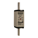 Mersen 1F055.000000 NH0 63A gG 500V 