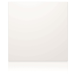 Ritto Portier Blindmodul weiß    1876670 