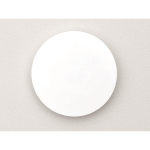 Ritto Scheibe                    1229795 