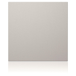 Ritto Portier Blindmodul silber  1876620 