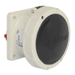 Walther Anbaudose gerade 32A 4P   439407 