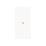 BJ Wippe 2-fach links        6231-21-44G 