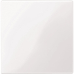 Merten Zentralplatte f.Bus-       450025 