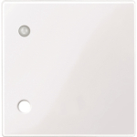 Merten Zentralplatte f.Zugtaster  450725 