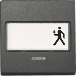 Merten Wippe m.Schriftfeld+       434614 