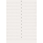 Merten Beschriftungsstreifen      230900 