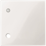 Merten Zentralplatte f.Zugtaster  450719 