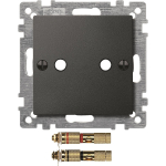 Merten Zentralplatte m.High-End   469314 