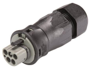 Wieland           RST25I5S S1 ZR3SV BG03 