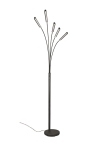 Trio LED-Stehleuchte REED, 5x  R41031532 