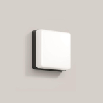 BEGA Wandleuchte Grafit   3000 K 24892K3 