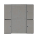 BJ Bedienelement 2/4fach     6126/02-866 