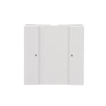 BJ Bedienelement 1/2fach      6125/02-84 