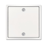 BJ Zentralscheibe studiowei      1796-84 