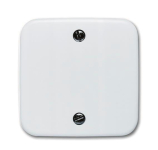 BJ Zentralscheibe alpinweiß     1796-214 