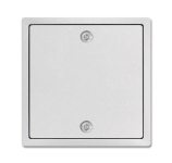 BJ Zentralscheibe alusilber      1796-83 