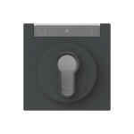 BJ Zentralscheibe         1755 SL/PZ-45M 