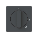 BJ Zentralscheibe         2542 DR/01-45M 