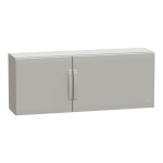 Schneider RAL7035            NSYPLA5123G 