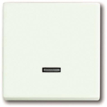BJ Bedienelement Tastdimmer 6543-884-101 