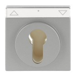 BJ Zentralscheibe      1755SL/PZ-866-101 