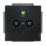 BJ PotenzialAusgleichsStecker  2095UC-81 