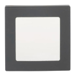 BJ Zentralscheibe f.Infolicht   1716-885 