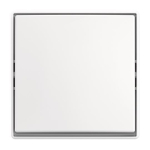 BJ Wippschalter             2601/6 J-524 