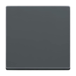 BJ BT-Bedienelement 1-fach    6735 BT-81 