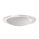 RIDI DKV5 235 W Kunstglas        0202749 
