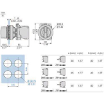 Schneider Leuchtwahlschalter  XB5FK123G5 