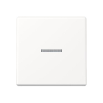 Jung Wippe f.Schalter/Taster  A590KO5WWM 